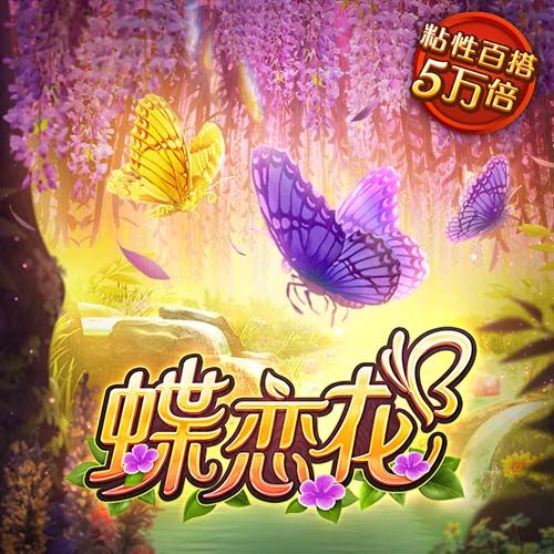 史蒂文斯：塔图姆好胜心极强 即使康复训练也在全力以赴